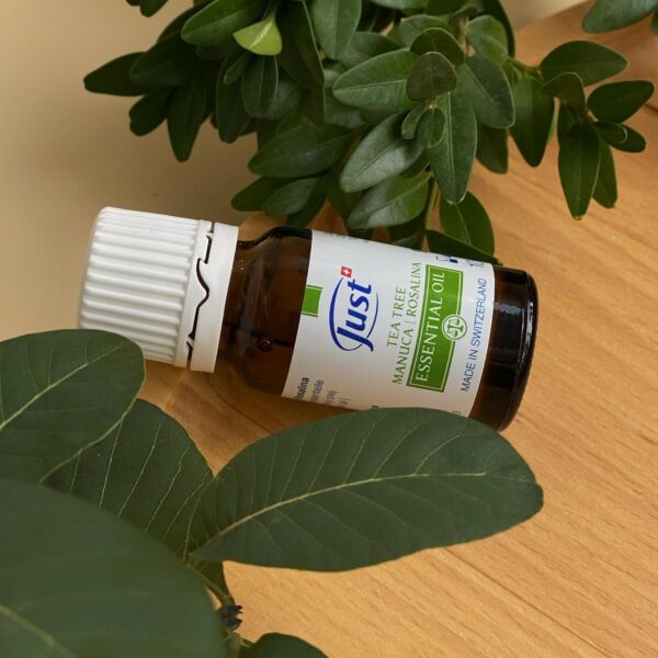 Олія ефірна Чайне дерево/Манука/ Розаліна / TEA TREE, 10 мл