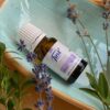 Олія ефірна Лаванда / LAVANDA, 10 мл