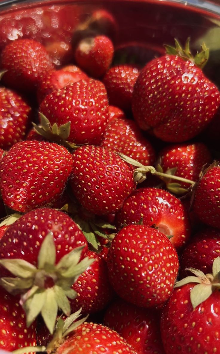 Гідролат Полуниці