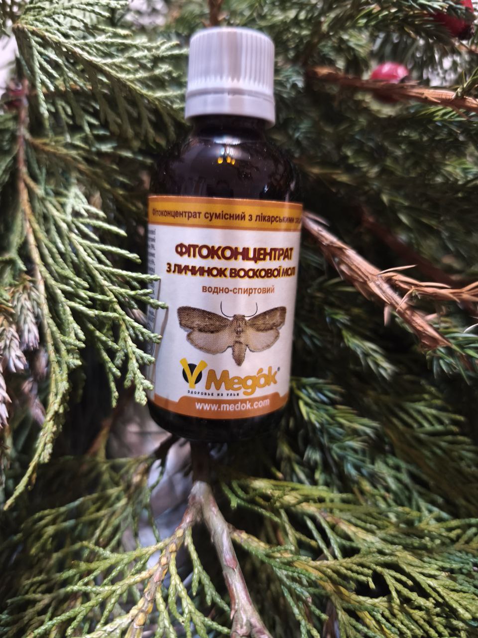 Настоянка воскової молі, 50мл