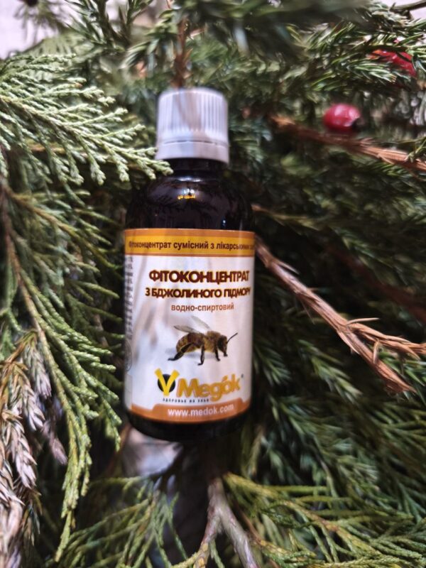 Настоянка бджолиного підмору, 50мл