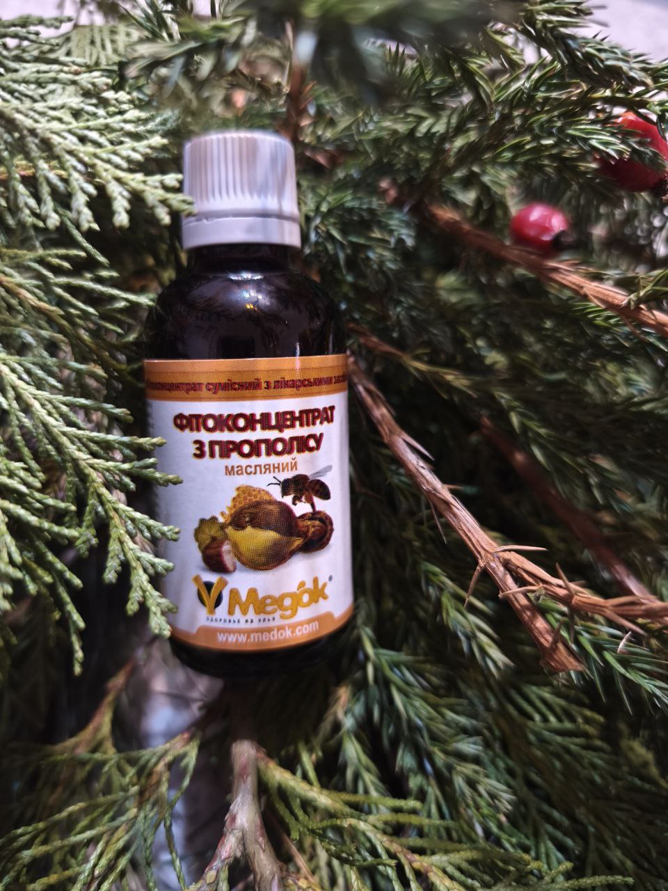 Екстракт прополісу масляний, 50мл
