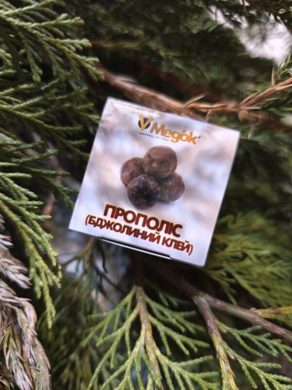 Прополіс (бджолиний клей), 10гр