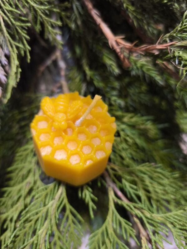 Свічка "Бджола на сотах"