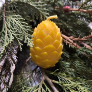 Свічка "Шишка кедрова"