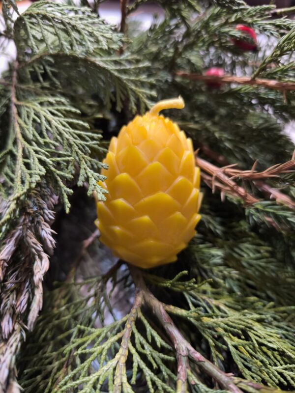 Свічка "Шишка кедрова"