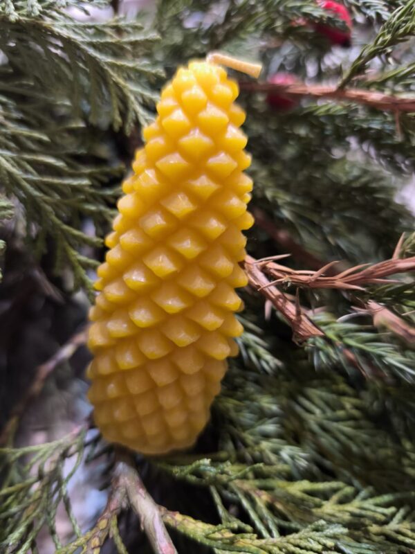 Свічка "Шишка соснова"