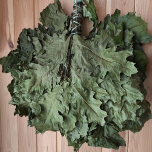 Банний віник з дубу