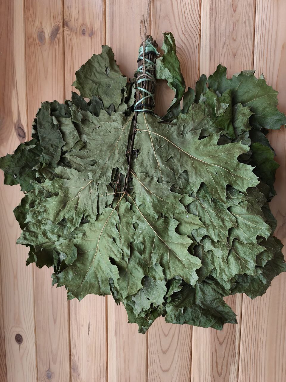 Банний віник з дубу