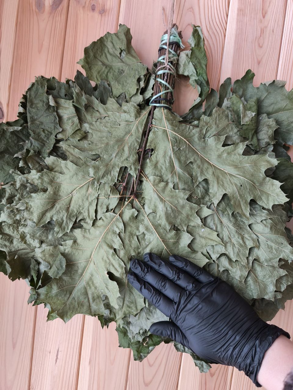 Банний віник з дубу - Зображення 2