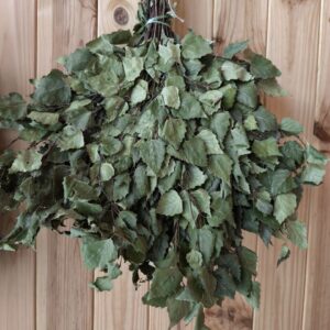 Банний віник з берези