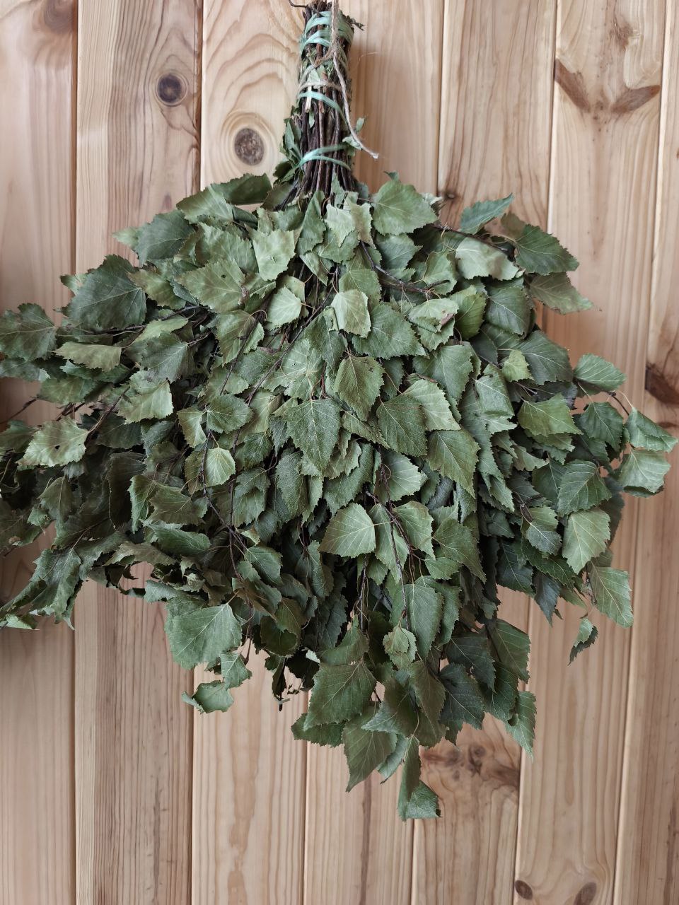 Банний віник з берези