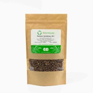 Пшениця Чорноброва