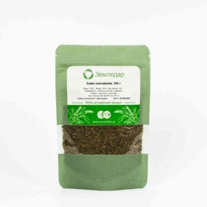 Кмин звичайний